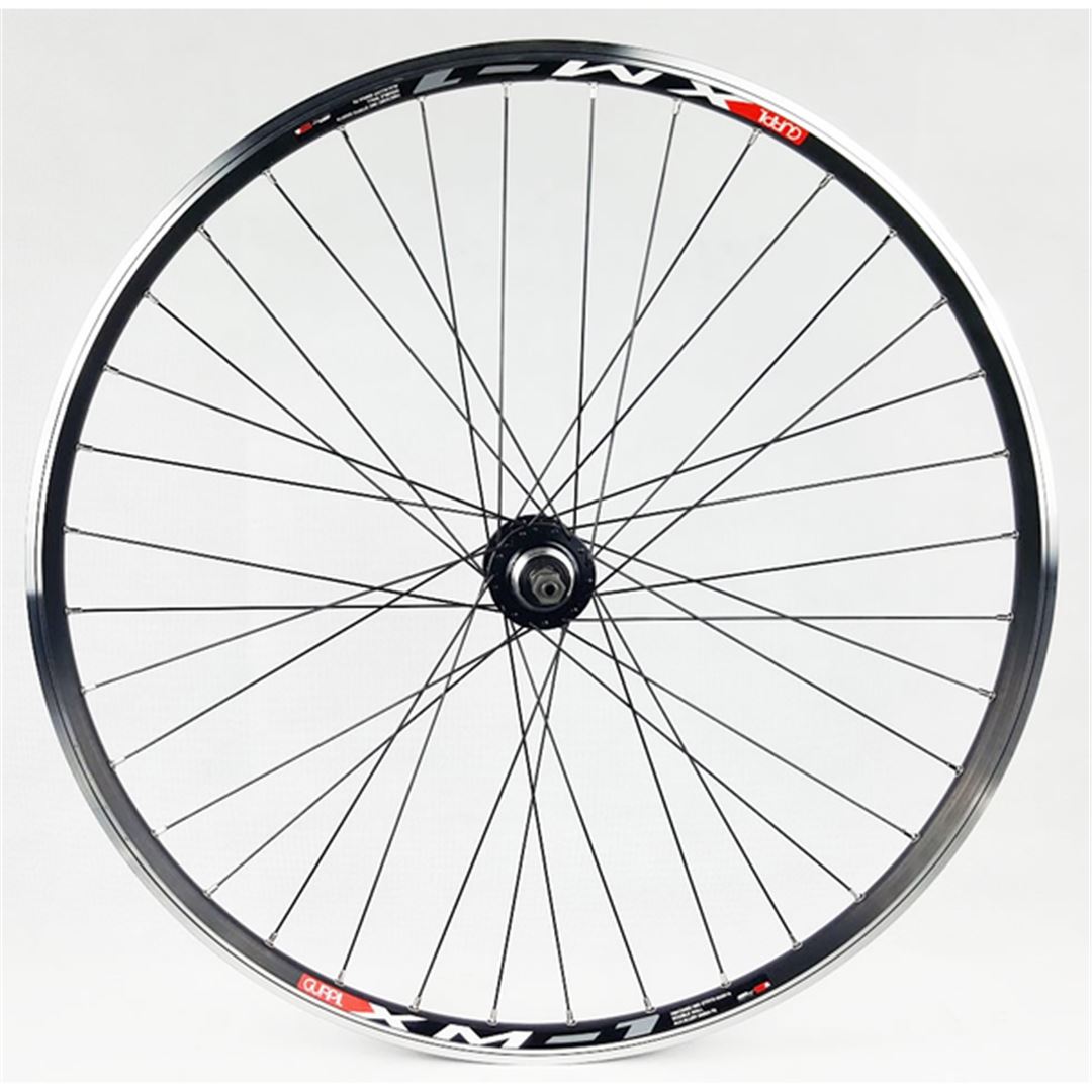 RUEDA XM 29 V BRAKE